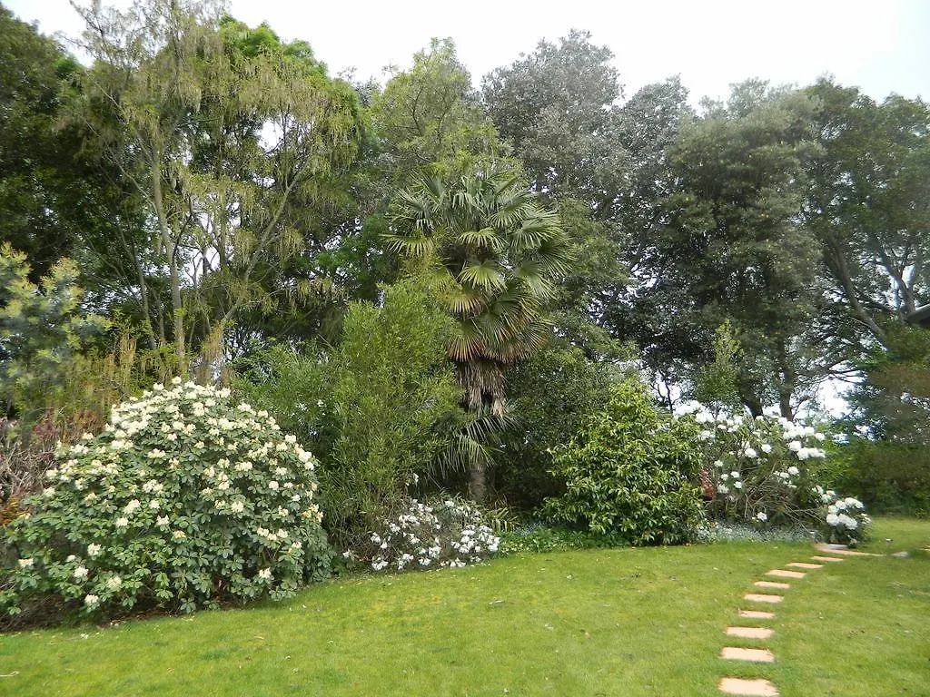 Antares Homestay Renwick